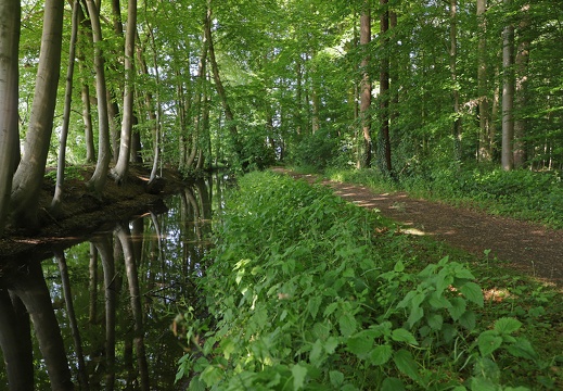 img 3203 kopie 20220605 1185777796