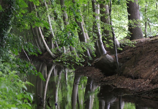 img 3233 20220605 1908112137