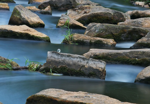 img 8888 20220529 1864027656