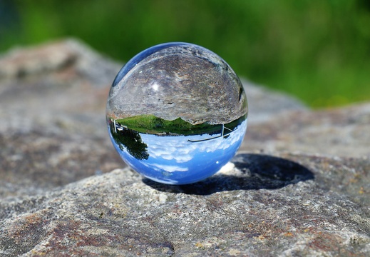 img 8914 20220529 2064494355