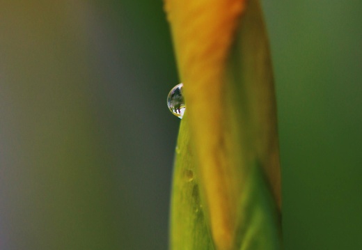 img 8965 20220529 1438149578