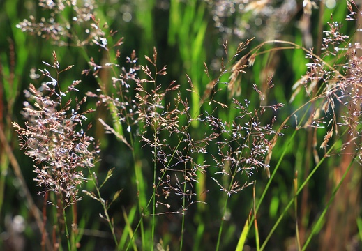 009 20220716 1505059929