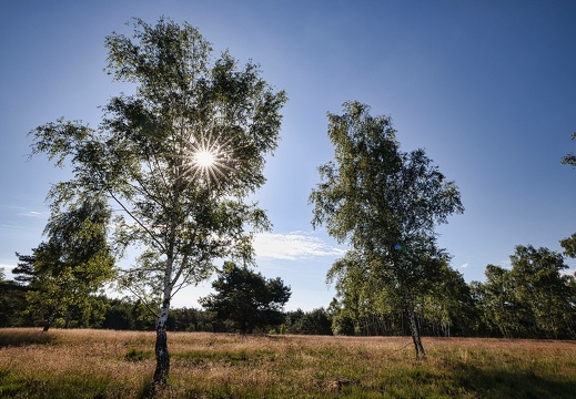 220703-090427-00026 20220716 1917554716