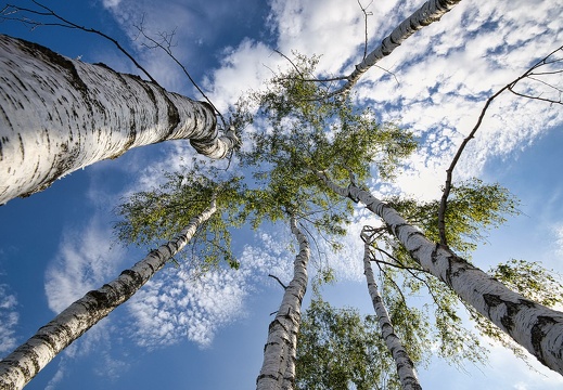 220703-091557-00027 20220716 1798002769