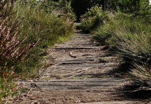 d5475dee-59c4-4de5-a472-301bc05d0145 20220711 1637724470