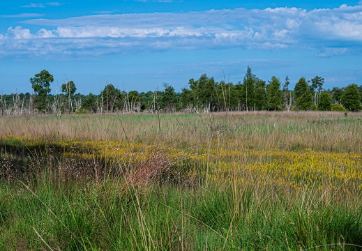 dsc 2587 20220718 1360013416