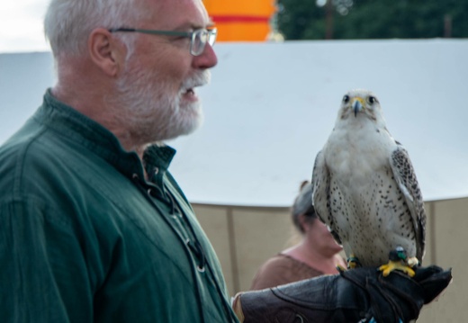 115 a 20220823 1914841603