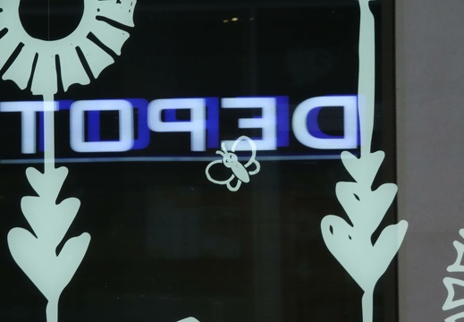 dsc01995 20221201 1134018651