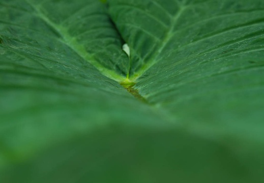  mg 1122 20151023 2054701020