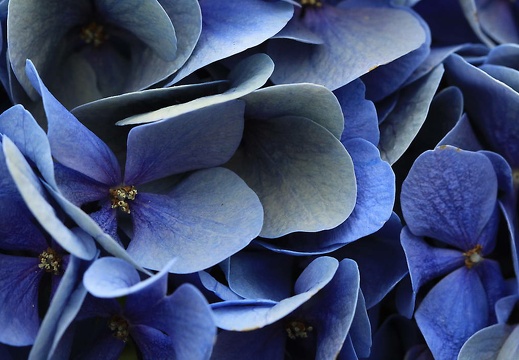 img 4930 20150713 1075564678