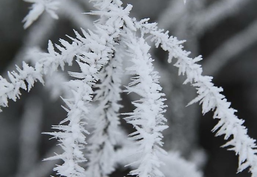 img 4358 20160121 1518728794