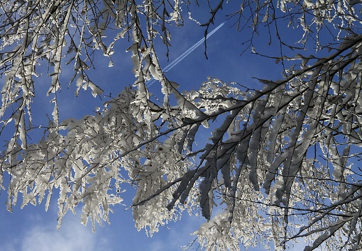 img 4770 20160217 1623080331