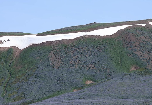 img 5531 20150701 1892309960