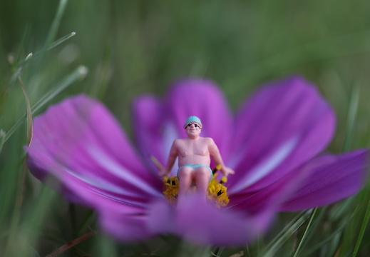 240825 Perspektive mit Miniaturen