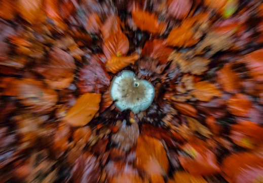072
