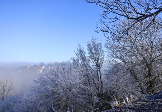 250119 Dunst Tecklenburg
