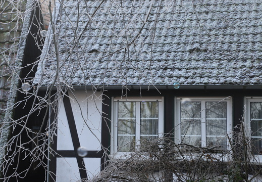 250119 Dunst Tecklenburg