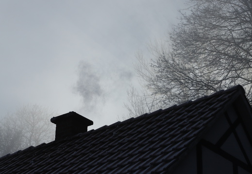 250119 Dunst Tecklenburg