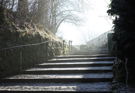 250119 Dunst Tecklenburg