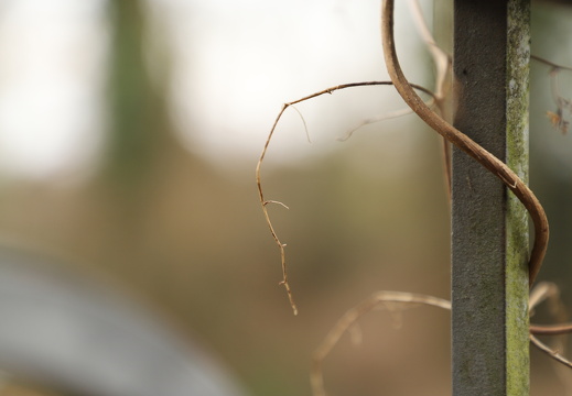 250223 Minimalistische Fotografie