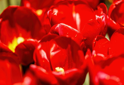 20250425- R6A5050-SharpenAI-Focus