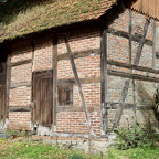 Franz