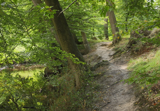 280824 50mm Nettetal - Sabine