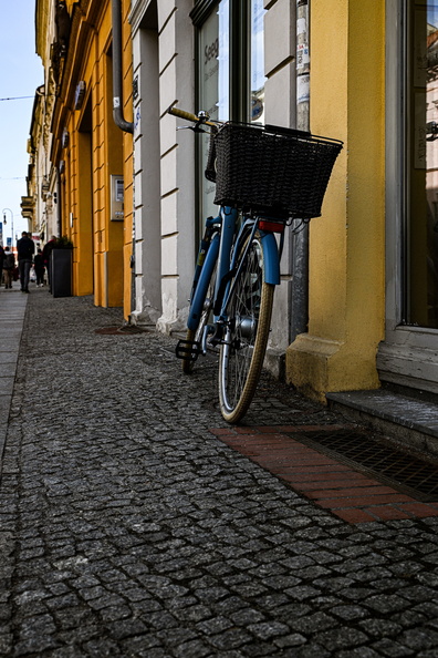DSC_1813.jpg
