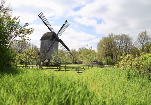 260425 Museumsdorf Cloppenburg