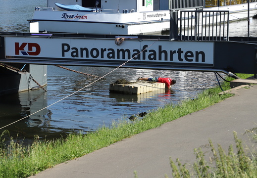 260528 Mosel typisch - Sabine